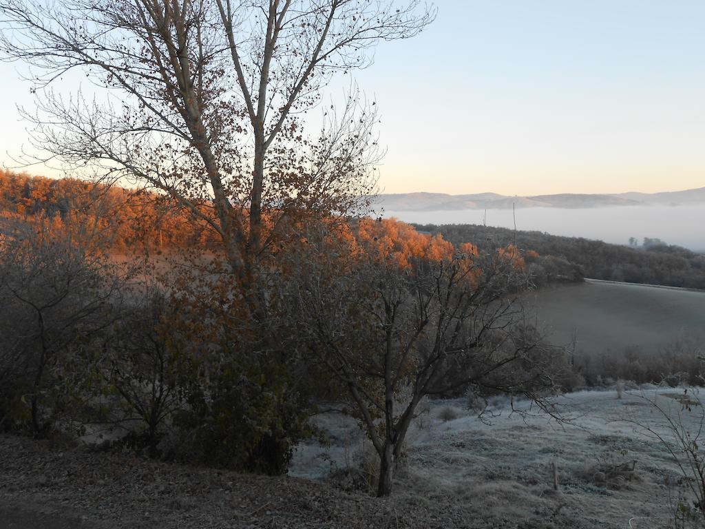Gite Des Monts Saint-Izaire ภายนอก รูปภาพ