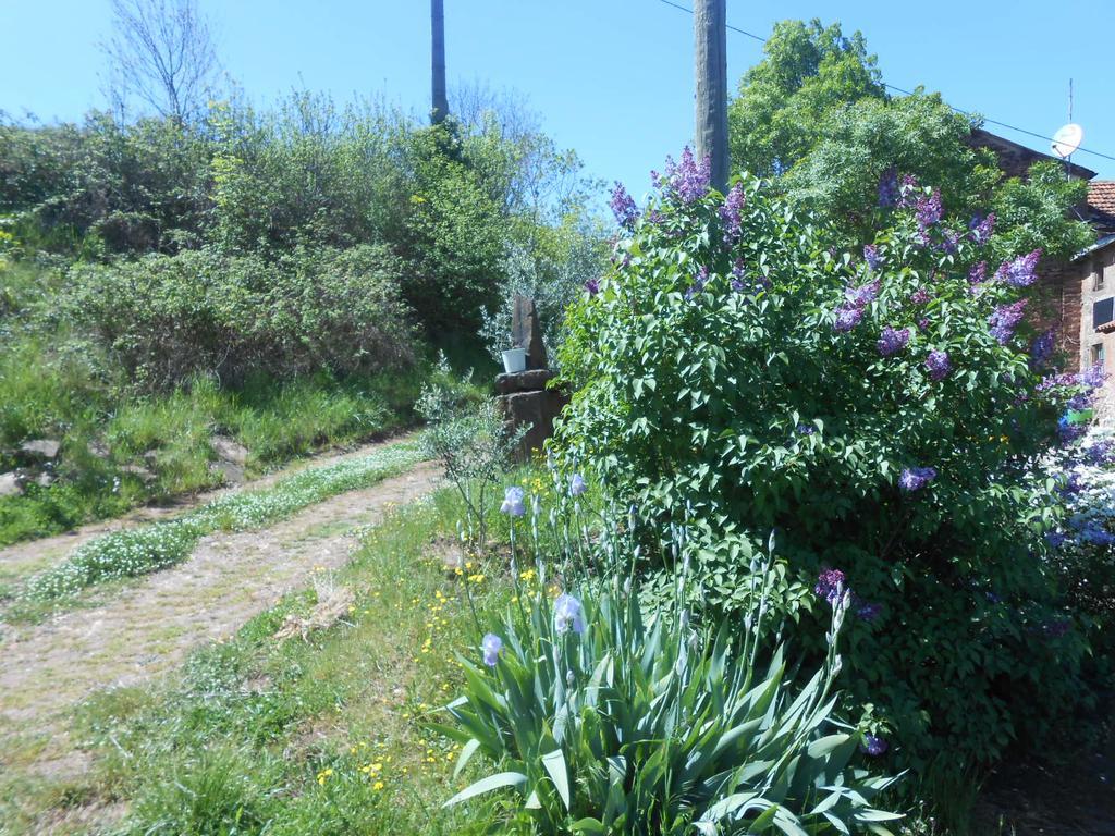 Gite Des Monts Saint-Izaire ภายนอก รูปภาพ