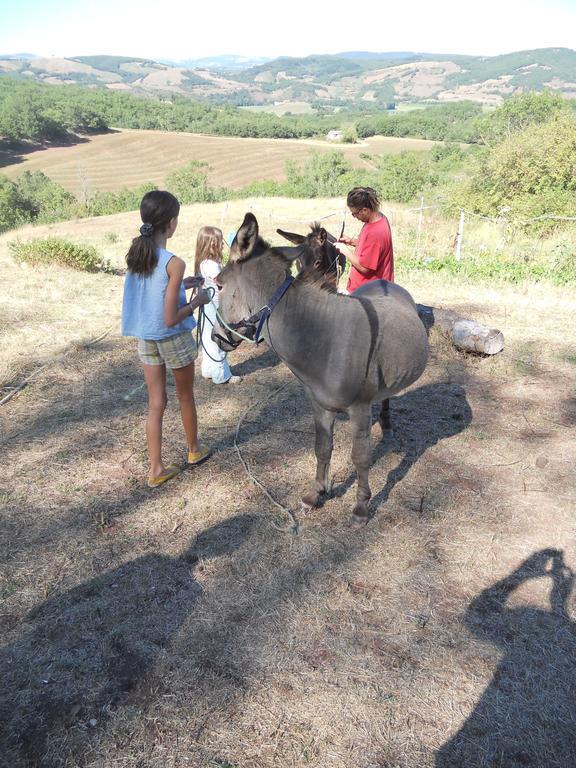 Gite Des Monts Saint-Izaire ภายนอก รูปภาพ