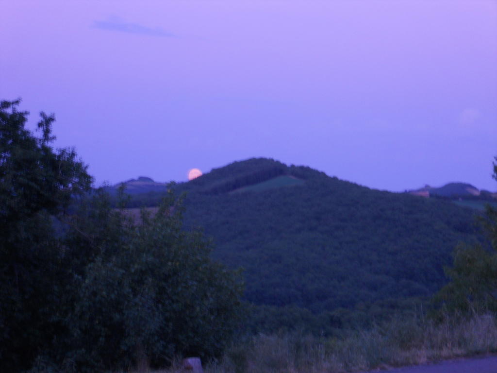 Gite Des Monts Saint-Izaire ภายนอก รูปภาพ