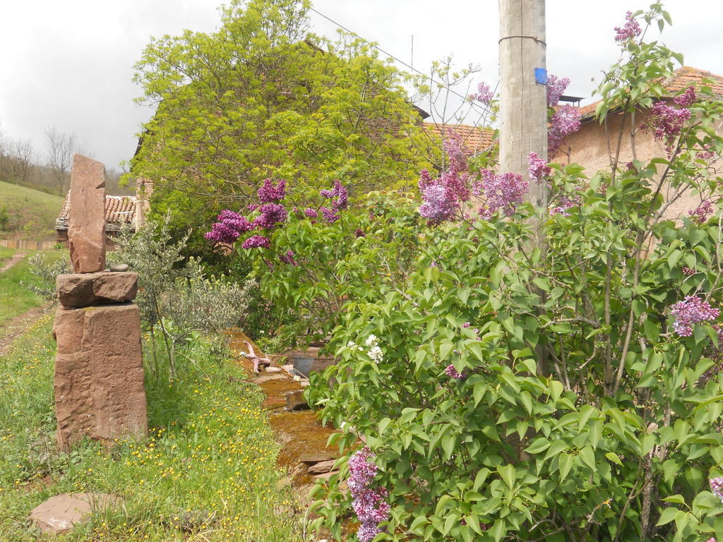 Gite Des Monts Saint-Izaire ภายนอก รูปภาพ
