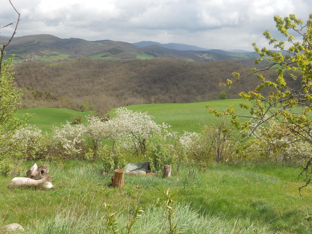 Gite Des Monts Saint-Izaire ภายนอก รูปภาพ
